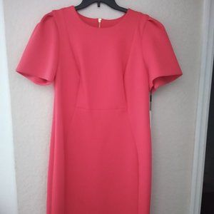 NWT Calvin Klein Dress Plus Size